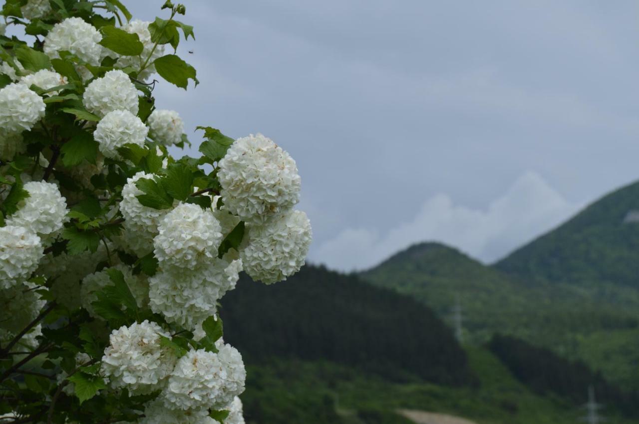 Motel Gombas ภายนอก รูปภาพ